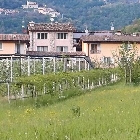 Cascina Legnago Bilocale A 6 Chilometri Da Salo' Apartamento Villanuova sul clisi Exterior foto