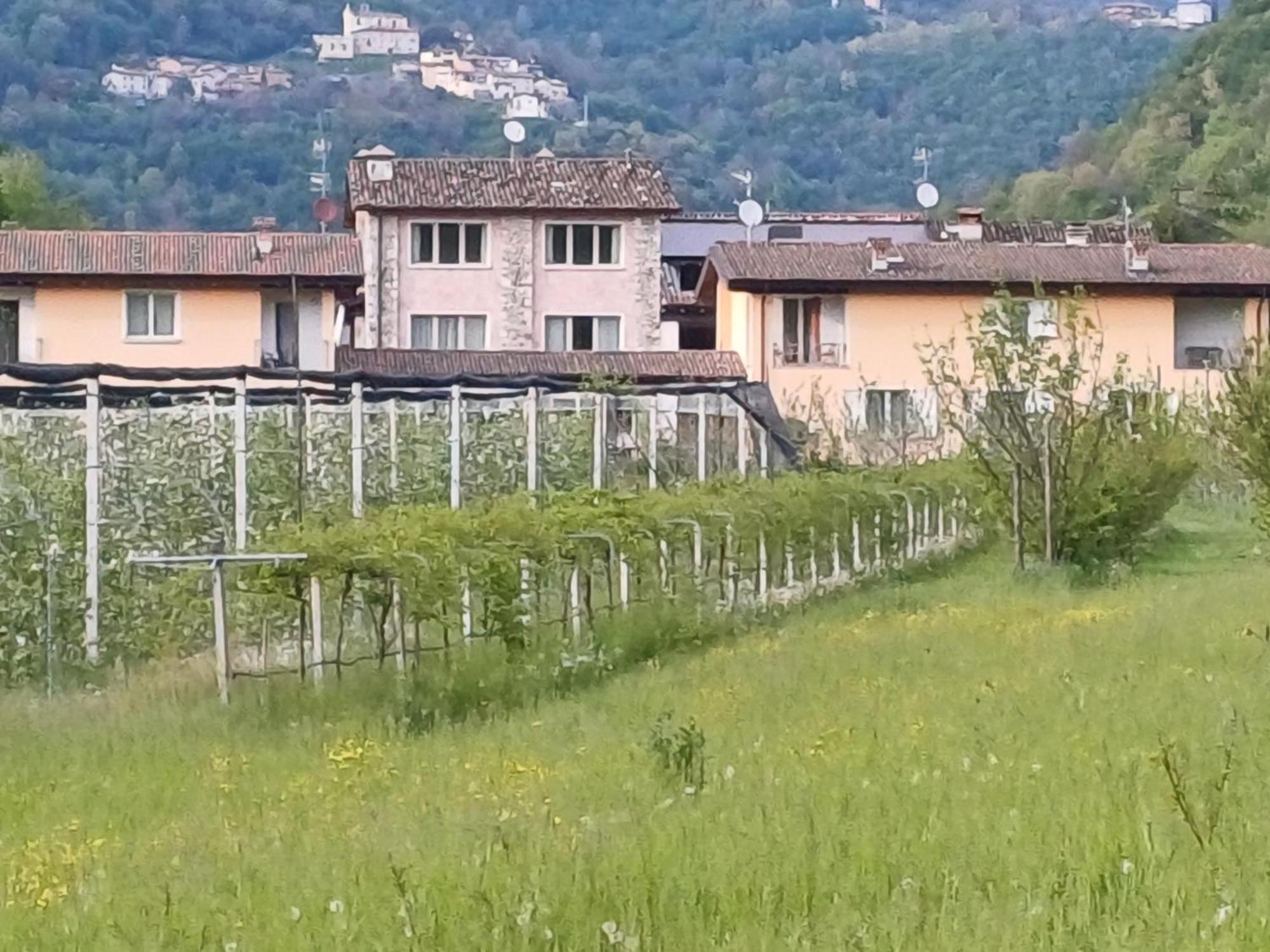 Cascina Legnago Bilocale A 6 Chilometri Da Salo' Apartamento Villanuova sul clisi Exterior foto