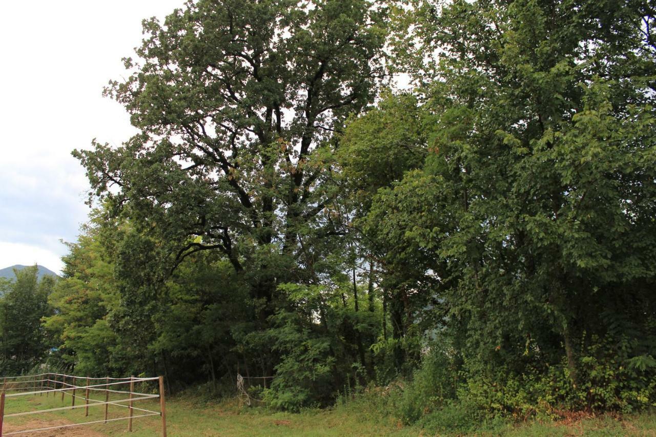 Cascina Legnago Bilocale A 6 Chilometri Da Salo' Apartamento Villanuova sul clisi Exterior foto