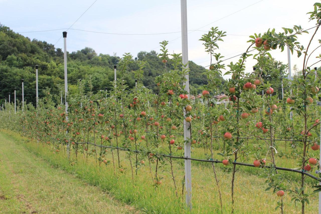 Cascina Legnago Bilocale A 6 Chilometri Da Salo' Apartamento Villanuova sul clisi Exterior foto