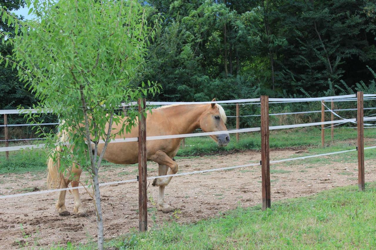 Cascina Legnago Bilocale A 6 Chilometri Da Salo' Apartamento Villanuova sul clisi Exterior foto
