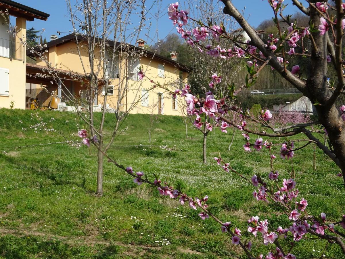 Cascina Legnago Bilocale A 6 Chilometri Da Salo' Apartamento Villanuova sul clisi Exterior foto